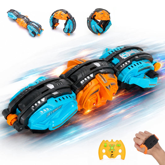 SaveJoy Remote Control Car, Gesture Sensing RC Twist Stunt Car, RC Car Toys for Kids with Insect Sound & Spray, Birthday Gift for Boys Girls Ages 3-12